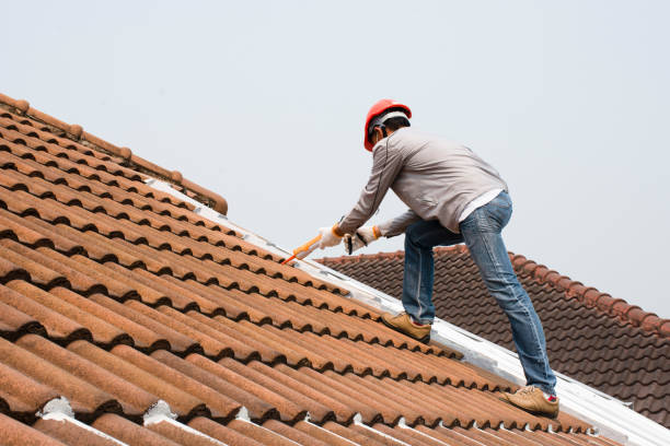 Best Roofing for New Construction  in South Les, AK