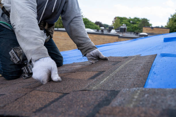 Best Commercial Roofing Services  in South Les, AK