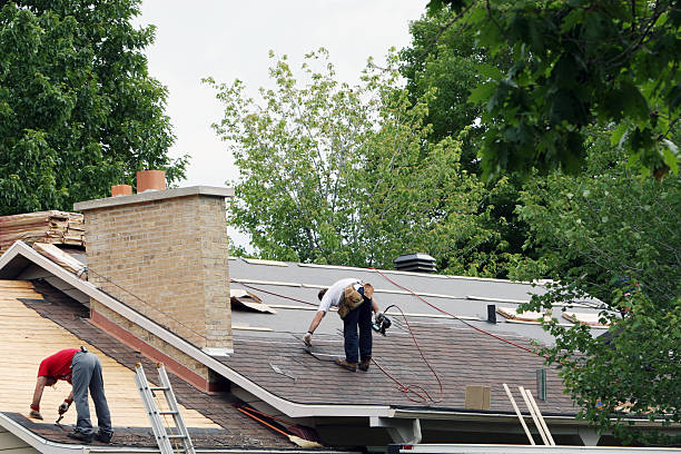 Best Roof Maintenance and Cleaning  in South Les, AK