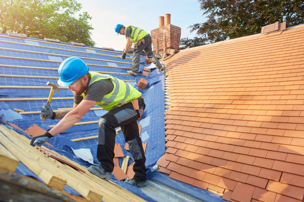 Best Storm Damage Roof Repair  in South Les, AK